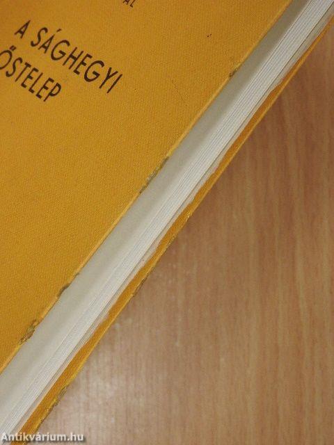 A sághegyi őstelep