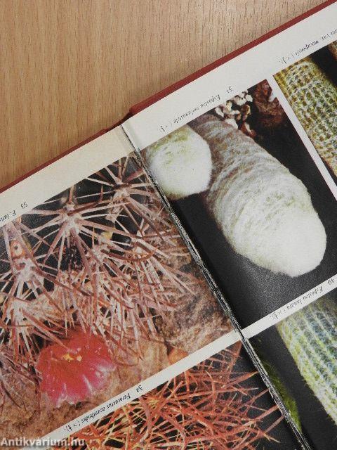 The Pocket Encyclopedia of Cacti and Succulents in Color