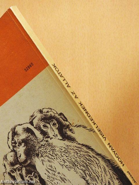 Hogyan viselkednek az állatok