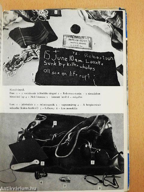 Hajótörött család a vad tengeren