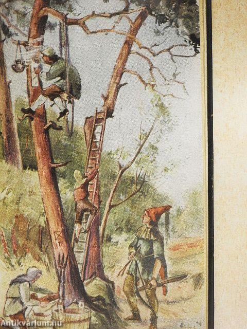 Vom vielbegehrten Zucker