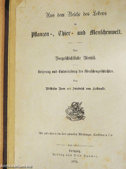 Der Vorgeschichtliche Mensch (gótbetűs)