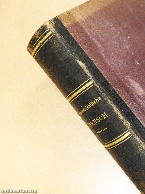 Der Vorgeschichtliche Mensch (gótbetűs)