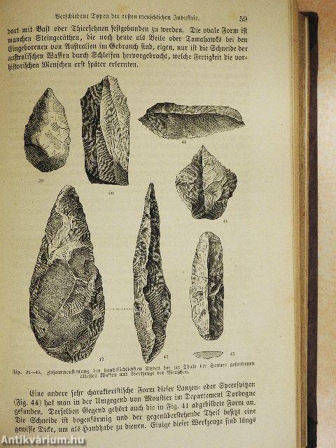 Der Vorgeschichtliche Mensch (gótbetűs)