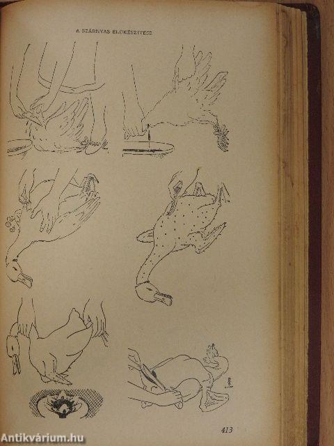 A gyakorlati főzés tankönyve (rossz állapotú)