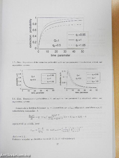 Az elágazó folyamatok fizikájának elméleti alapjai