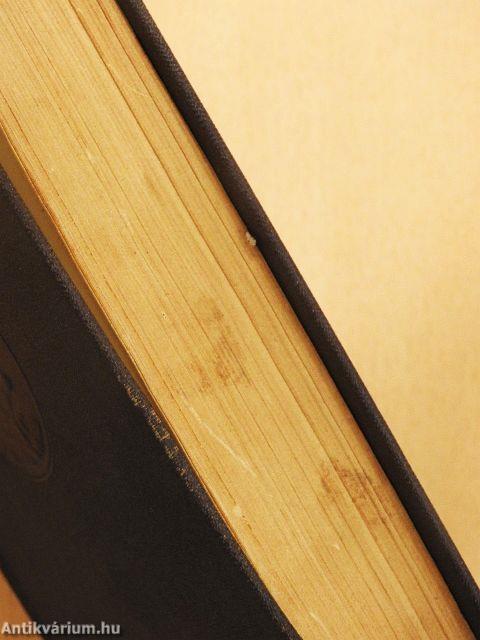 V. I. Lenin művei 26.