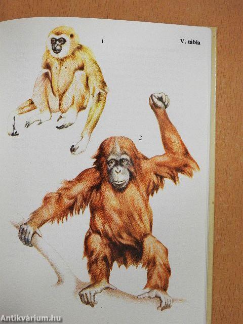 Állatkerti emlősök