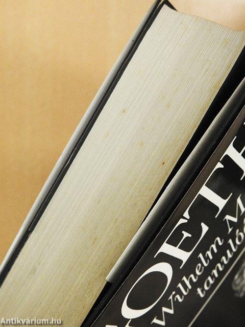 Wilhelm Meister tanulóévei