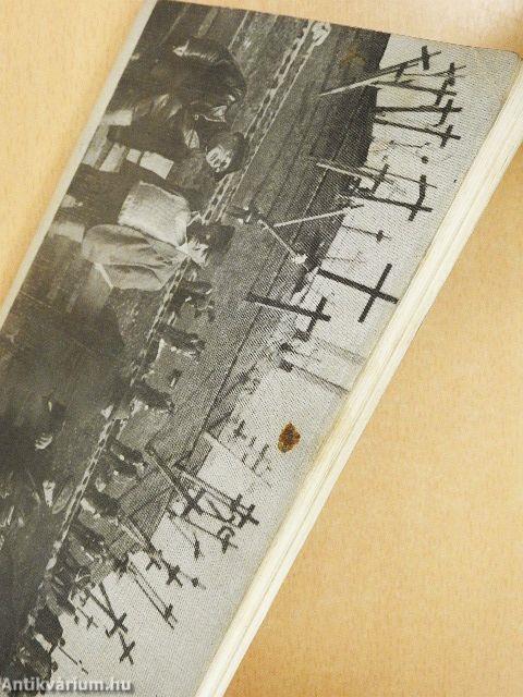 Nyitott egyetem 1992