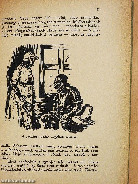 Tamás bátya kunyhója