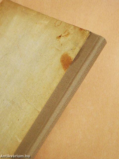 Viola első táborozása