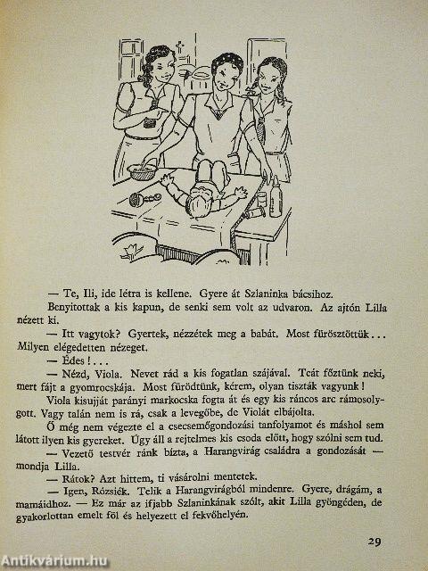 Viola első táborozása