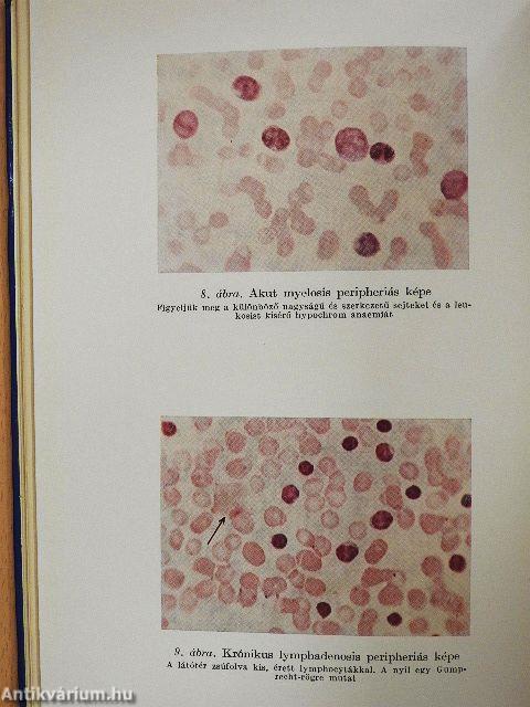 Kórélettani gyakorlatok