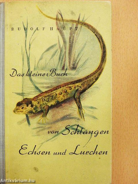 Das Kleine Buch von Schlangen, Echsen und Lurchen