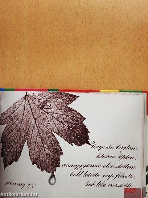 Találós kérdések könyve