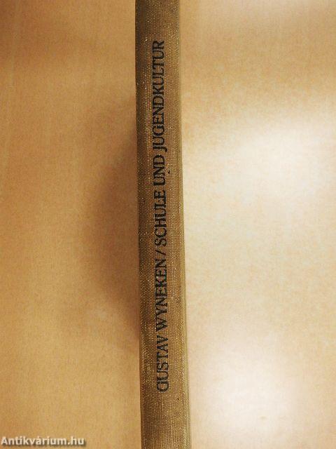 Schule und Jugendkultur