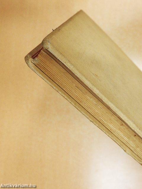 Schule und Jugendkultur