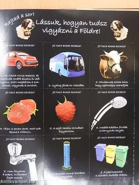 Természeti katasztrófák