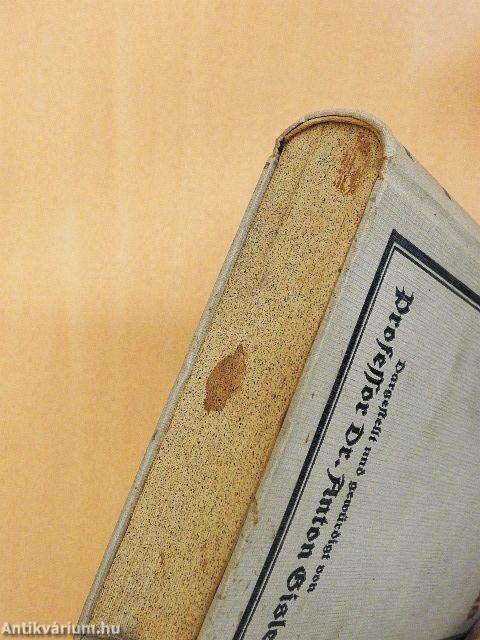 Der Modernismus (gótbetűs)