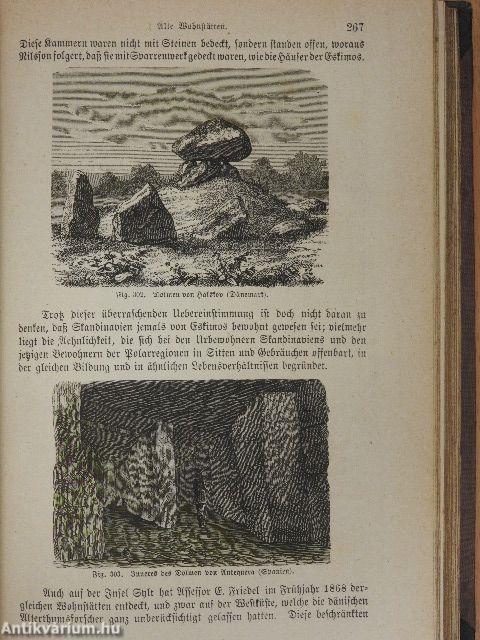 Der Vorgeschichtliche Mensch (gótbetűs)