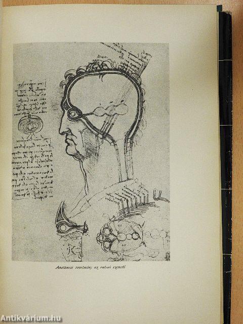 Tudomány és művészet