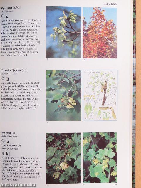 Európa fái és bokrai