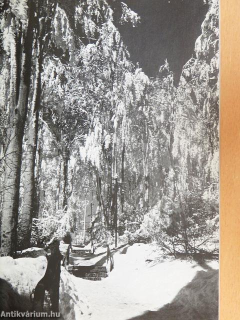 Kirándulók könyve