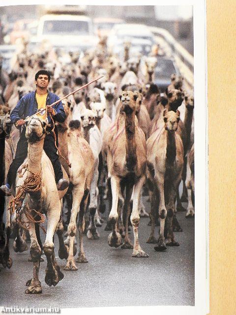 National Geographic April 1993