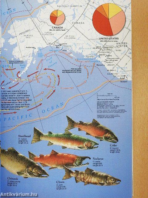 National Geographic July 1990