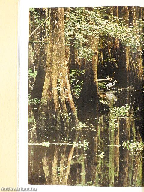 National Geographic July 1990