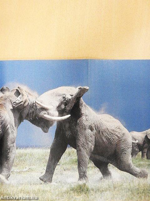 National Geographic May 1991