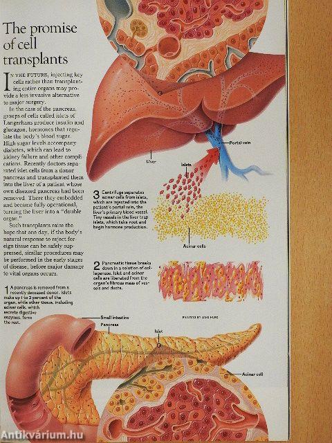 National Geographic September 1991