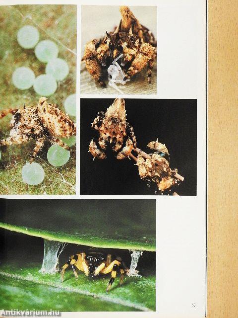 National Geographic September 1991