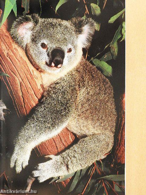 National Geographic April 1995