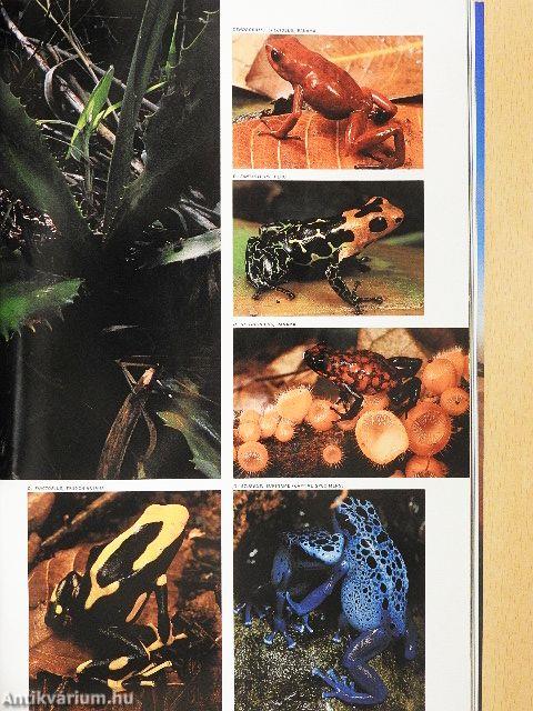 National Geographic May 1995