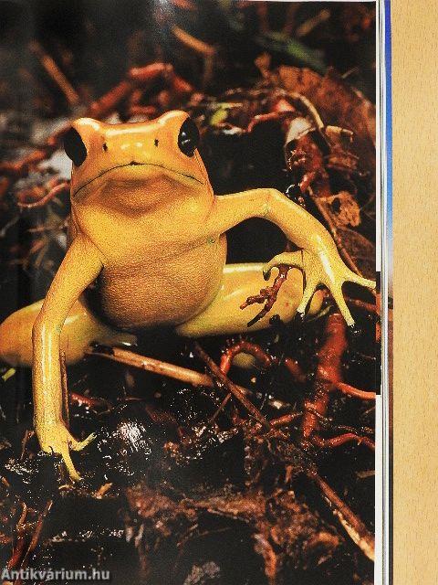 National Geographic May 1995