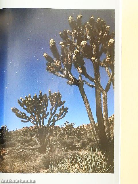 National Geographic May 1996