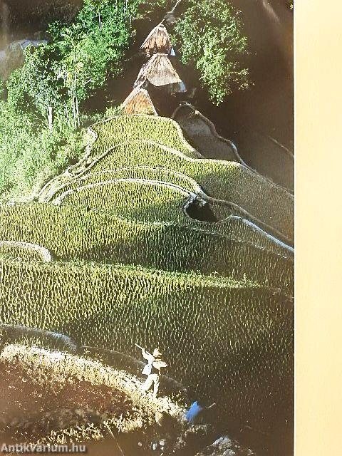 National Geographic September 1990