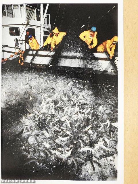 National Geographic February 1990