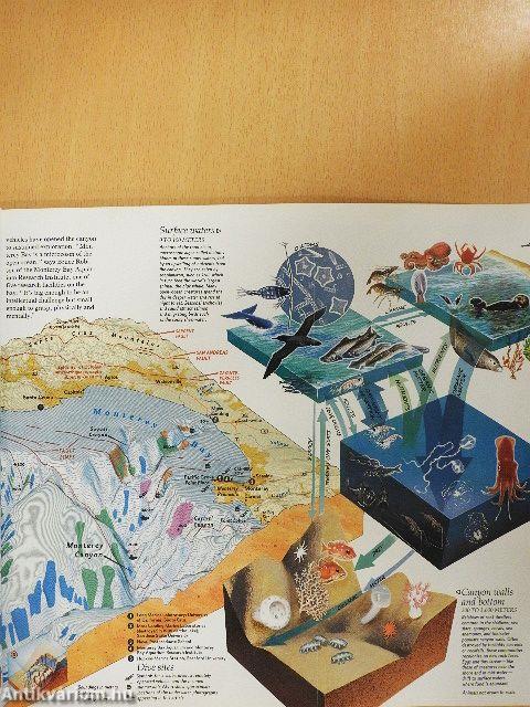 National Geographic February 1990