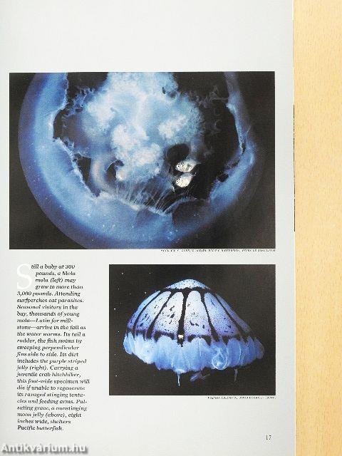 National Geographic February 1990