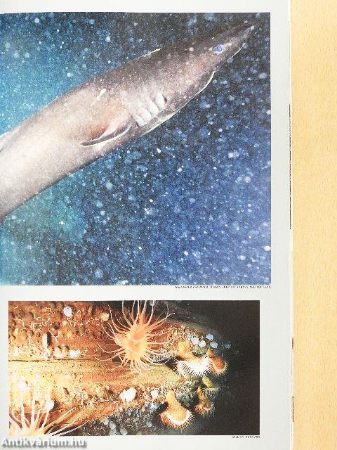 National Geographic February 1990