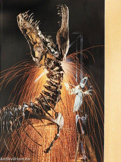 National Geographic January-December 1993