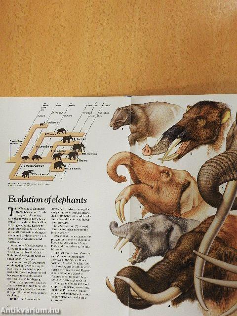 National Geographic May 1991