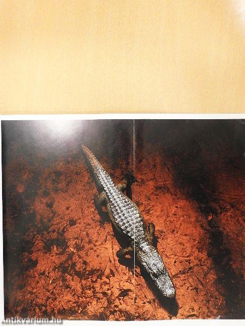 National Geographic April 1992