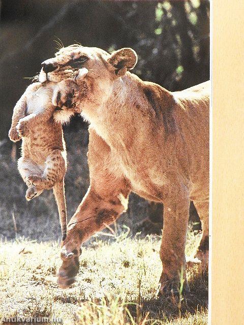 National Geographic April 1992