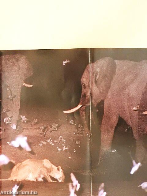 National Geographic August 1994