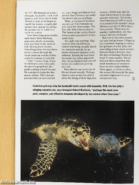 National Geographic August 1994