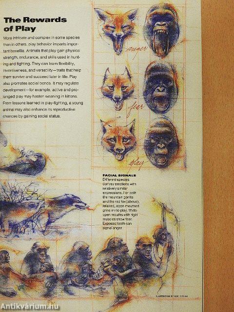 National Geographic December 1994